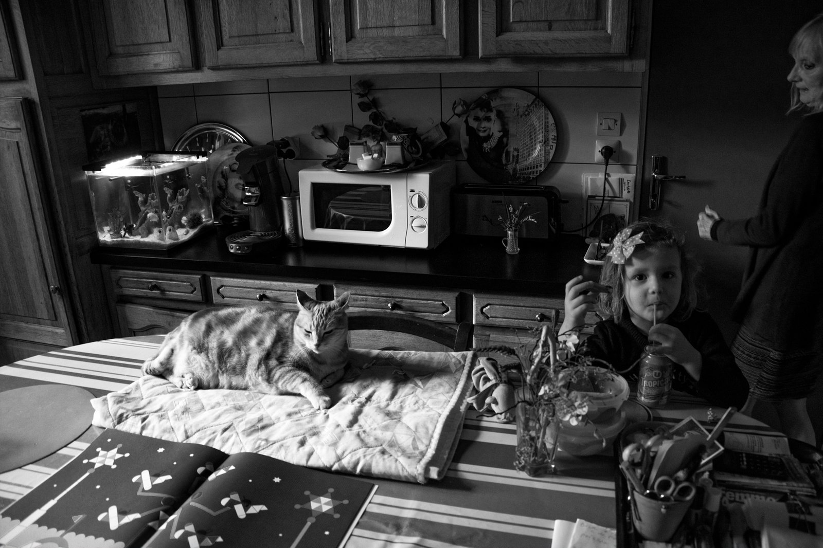 “Le chat”, Louise et Mamou