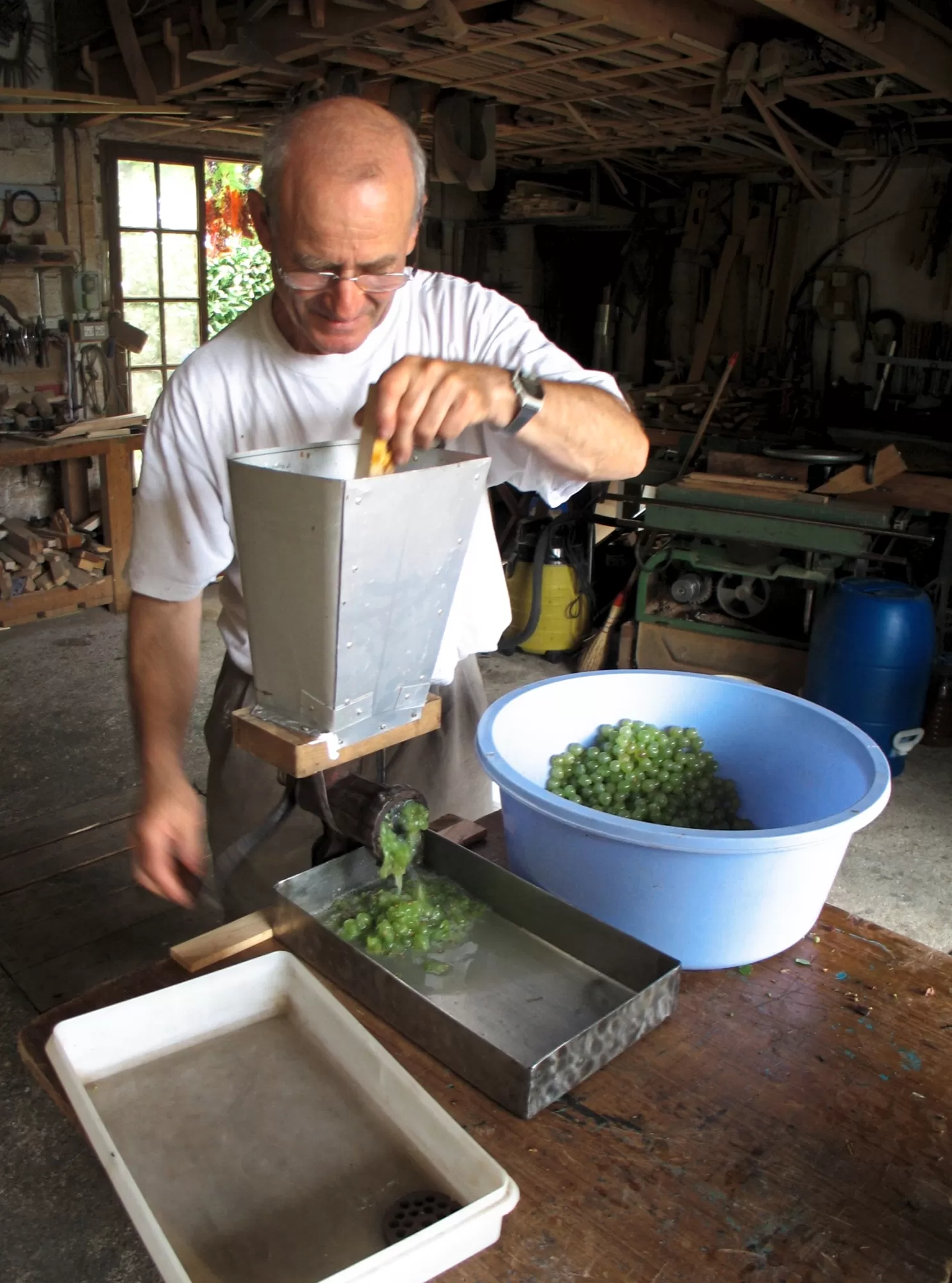 Le broyage des raisins de la treille de mon père