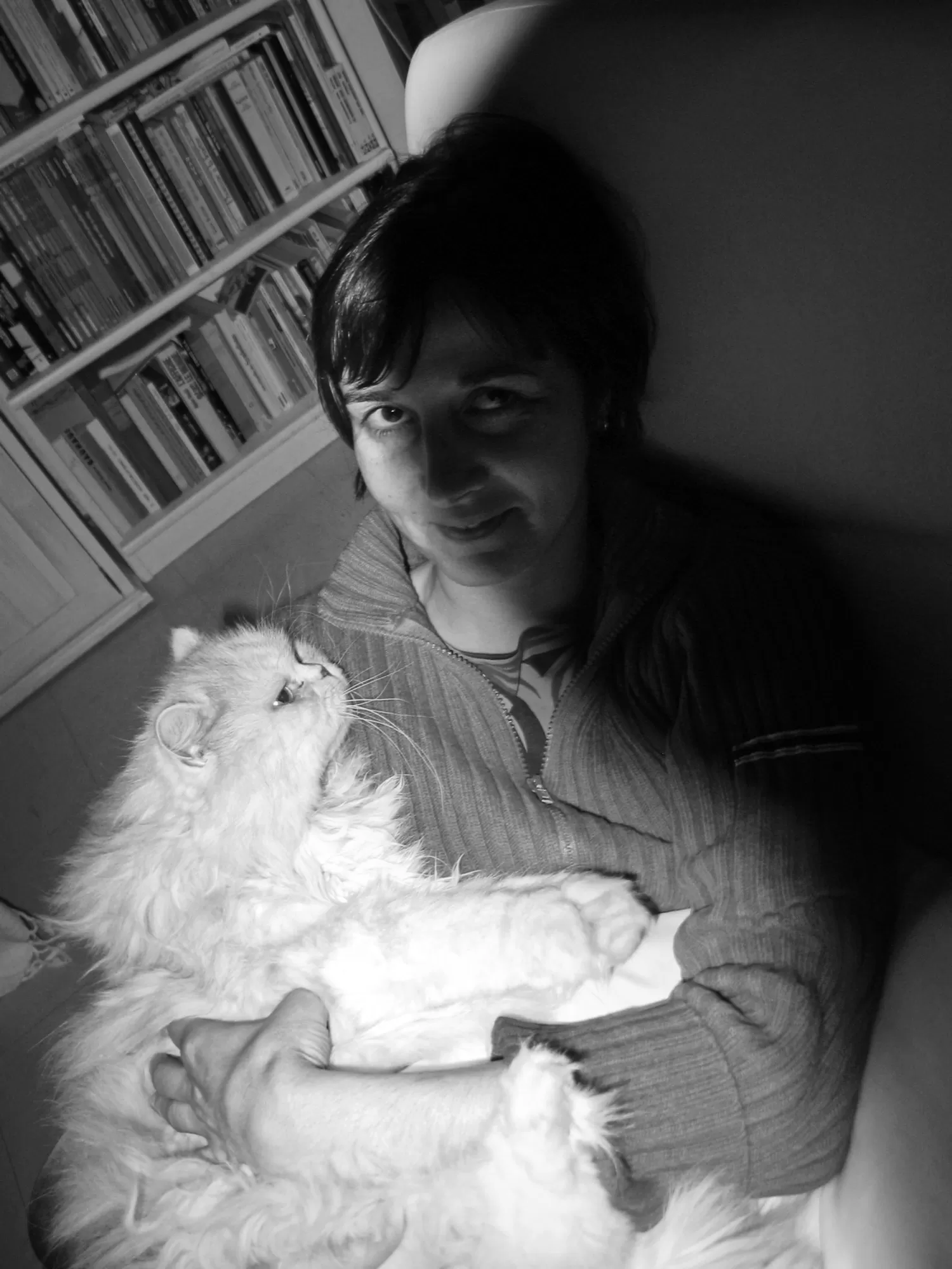 Le chat Robert & Céline Guichard