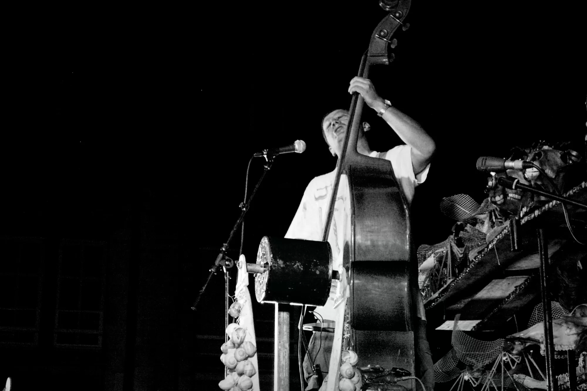 Un concert de DUT