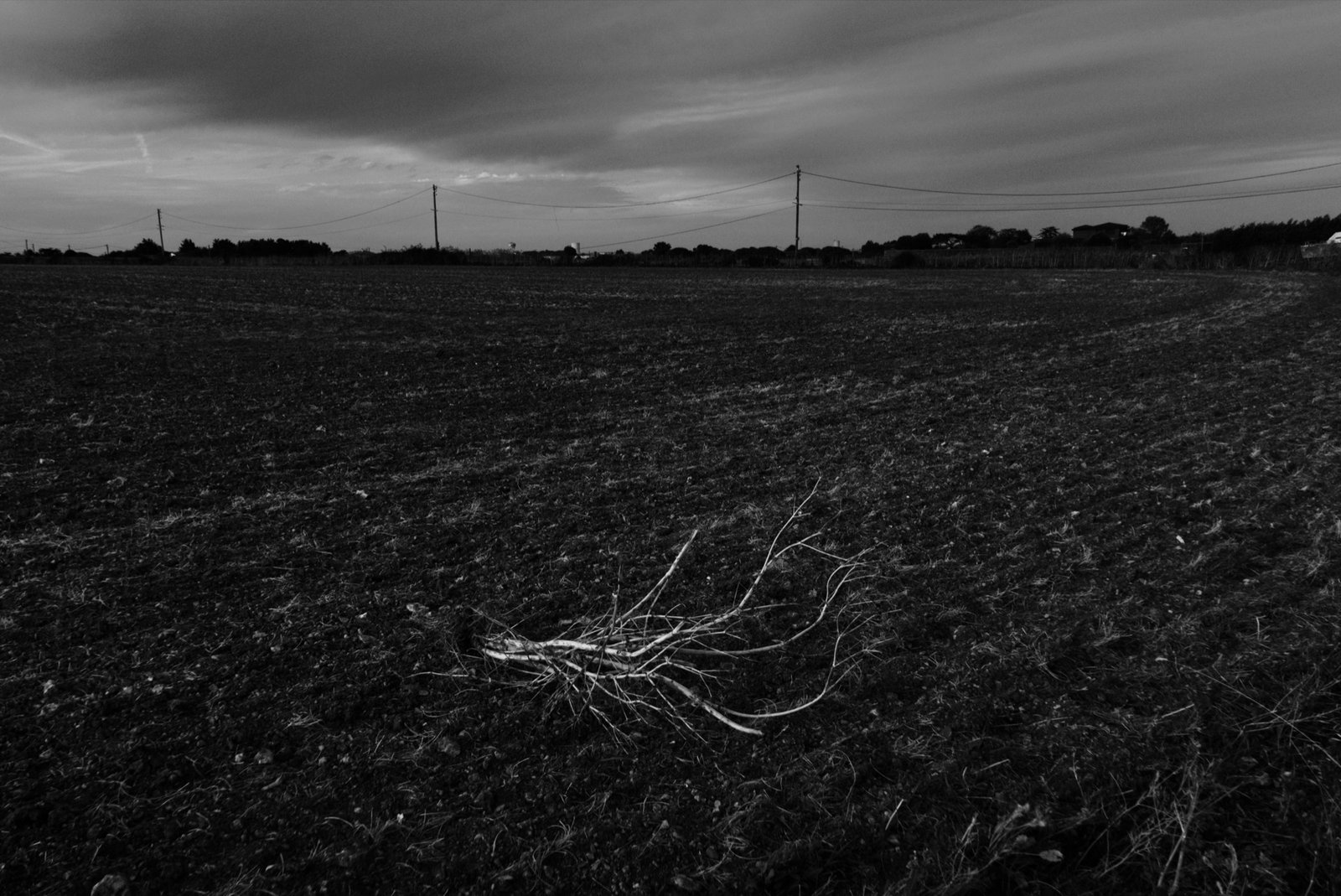 Monde (comment il tourne)