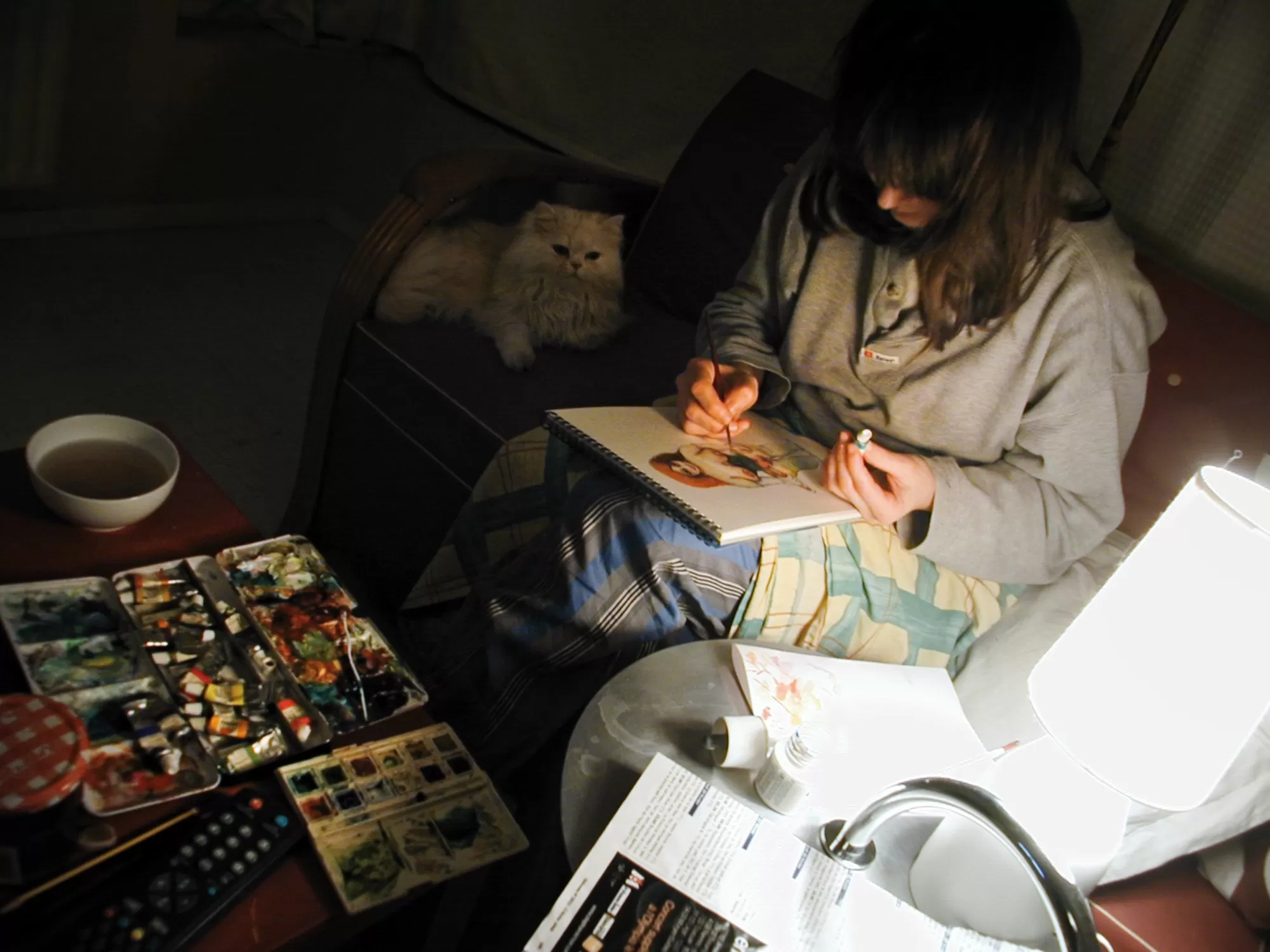 Céline Guichard : aquarelle nocturne + Robert le chat